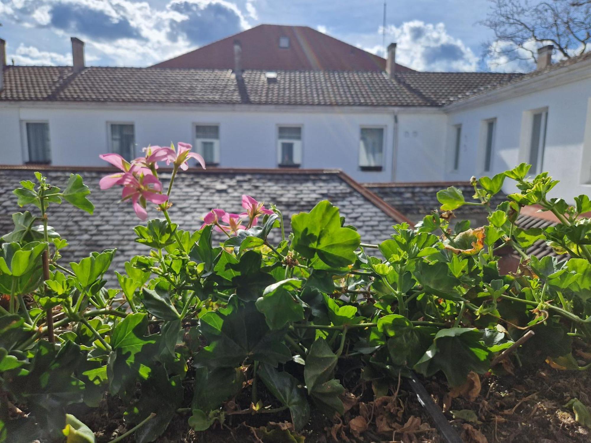 Touring Au Lac Ξενοδοχείο Neuchâtel Εξωτερικό φωτογραφία